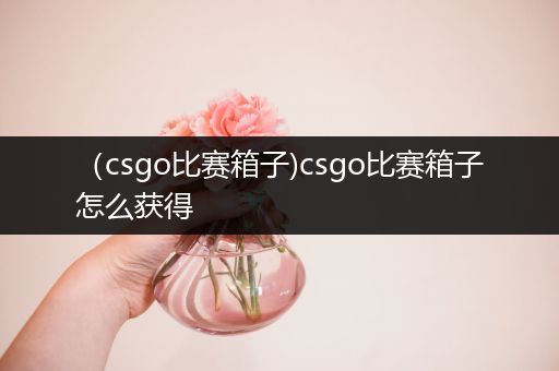 （csgo比赛箱子)csgo比赛箱子怎么获得