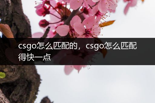 csgo怎么匹配的，csgo怎么匹配得快一点