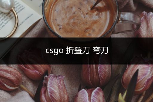 csgo 折叠刀 弯刀