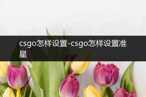 csgo怎样设置-csgo怎样设置准星