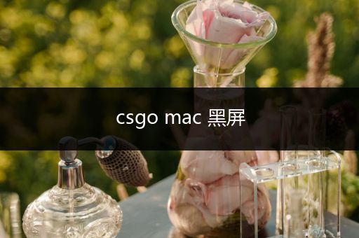 csgo mac 黑屏