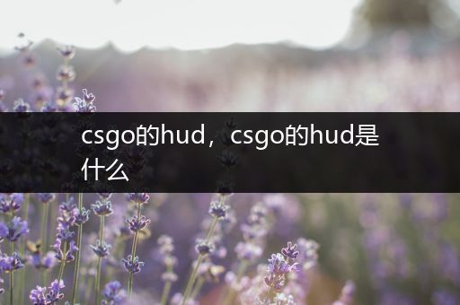 csgo的hud，csgo的hud是什么