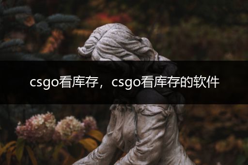 csgo看库存，csgo看库存的软件