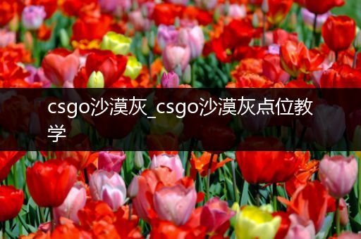 csgo沙漠灰_csgo沙漠灰点位教学