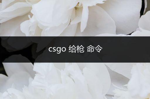 csgo 给枪 命令