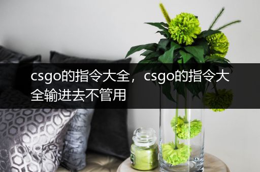 csgo的指令大全，csgo的指令大全输进去不管用