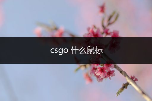 csgo 什么鼠标