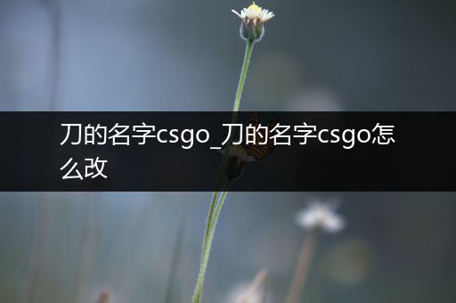 刀的名字csgo_刀的名字csgo怎么改