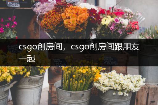 csgo创房间，csgo创房间跟朋友一起