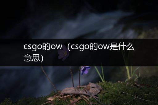 csgo的ow（csgo的ow是什么意思）