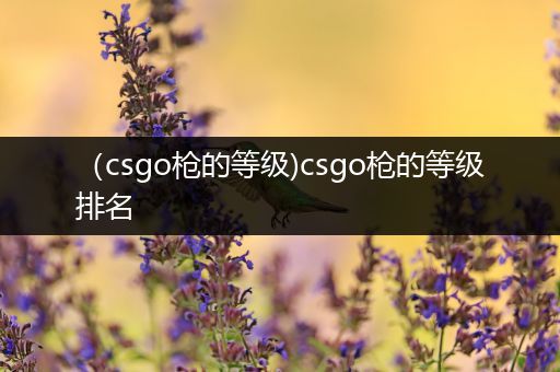 （csgo枪的等级)csgo枪的等级排名