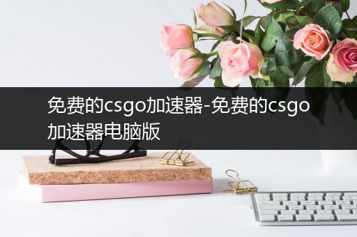 免费的csgo加速器-免费的csgo加速器电脑版