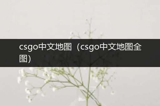 csgo中文地图（csgo中文地图全图）