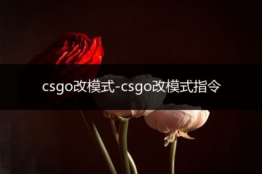 csgo改模式-csgo改模式指令