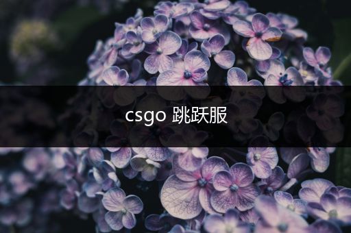 csgo 跳跃服