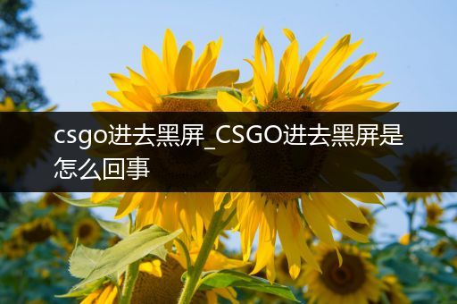 csgo进去黑屏_CSGO进去黑屏是怎么回事