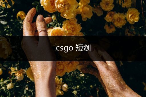 csgo 短剑