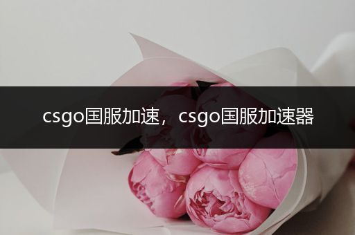 csgo国服加速，csgo国服加速器