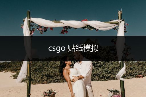 csgo 贴纸模拟