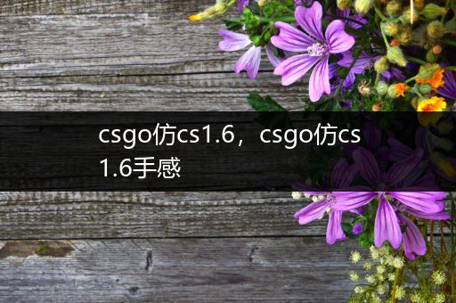 csgo仿cs1.6，csgo仿cs1.6手感