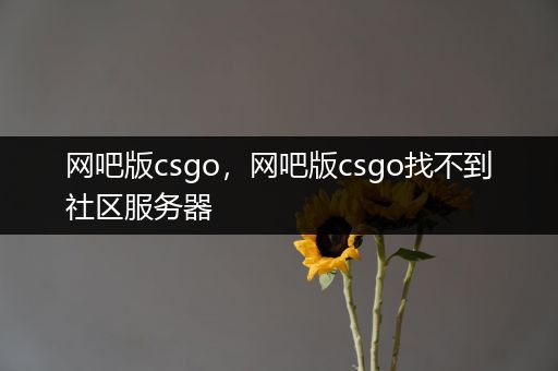 网吧版csgo，网吧版csgo找不到社区服务器