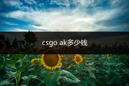 csgo ak多少钱