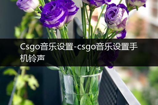 Csgo音乐设置-csgo音乐设置手机铃声