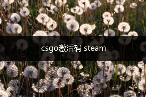 csgo激活码 steam