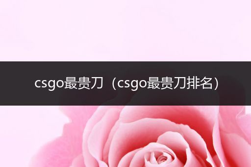 csgo最贵刀（csgo最贵刀排名）