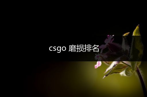 csgo 磨损排名