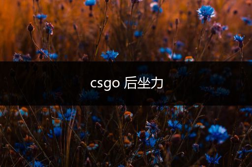 csgo 后坐力