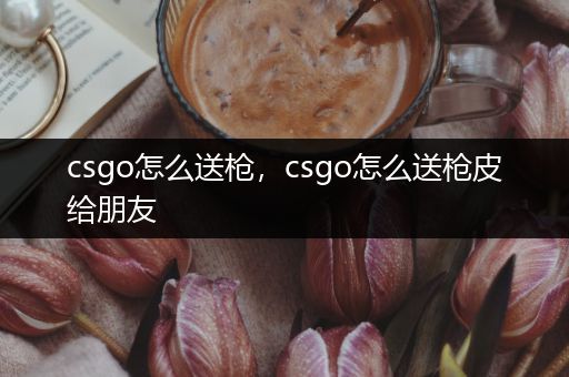 csgo怎么送枪，csgo怎么送枪皮给朋友