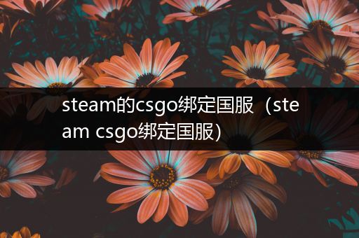 steam的csgo绑定国服（steam csgo绑定国服）