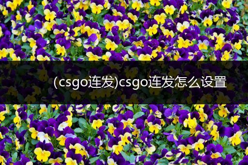 （csgo连发)csgo连发怎么设置