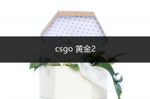 csgo 黄金2