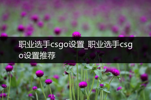 职业选手csgo设置_职业选手csgo设置推荐