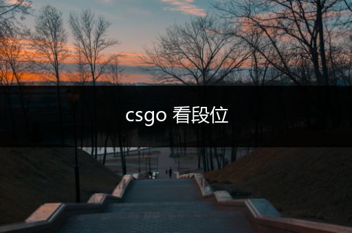 csgo 看段位