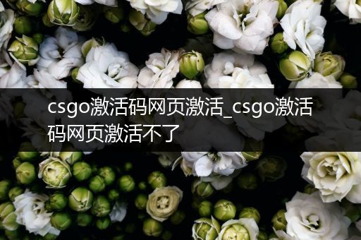 csgo激活码网页激活_csgo激活码网页激活不了