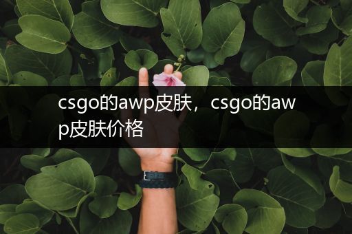 csgo的awp皮肤，csgo的awp皮肤价格