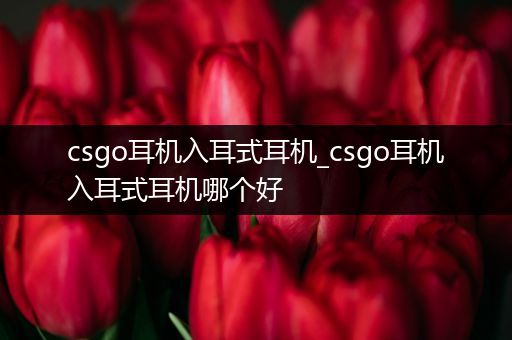 csgo耳机入耳式耳机_csgo耳机入耳式耳机哪个好