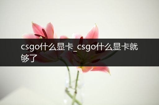 csgo什么显卡_csgo什么显卡就够了