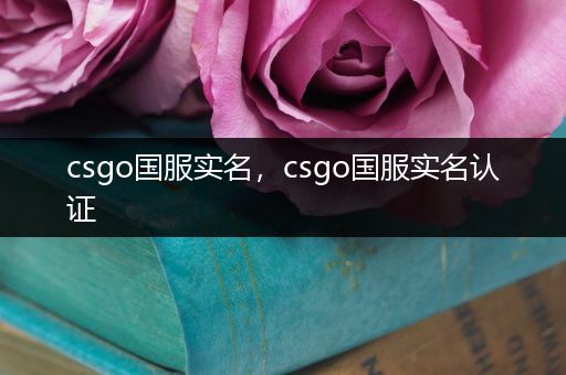 csgo国服实名，csgo国服实名认证