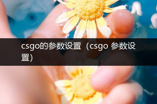 csgo的参数设置（csgo 参数设置）