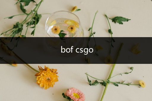 bof csgo