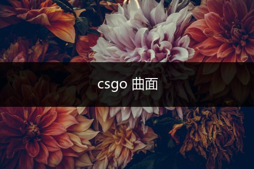 csgo 曲面