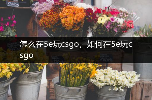 怎么在5e玩csgo，如何在5e玩csgo