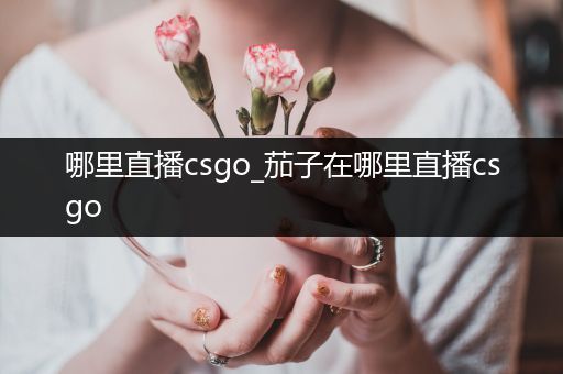 哪里直播csgo_茄子在哪里直播csgo