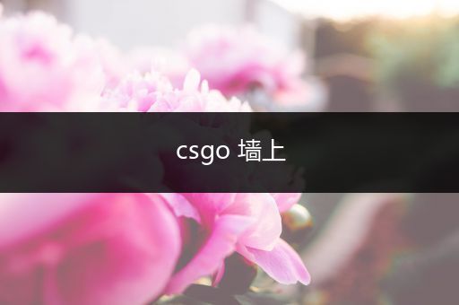 csgo 墙上