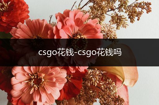 csgo花钱-csgo花钱吗