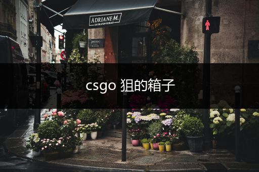 csgo 狙的箱子